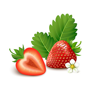 红红诱人的水果草莓插画