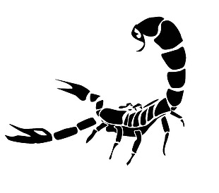 黑色蝎子图免抠png透明素材