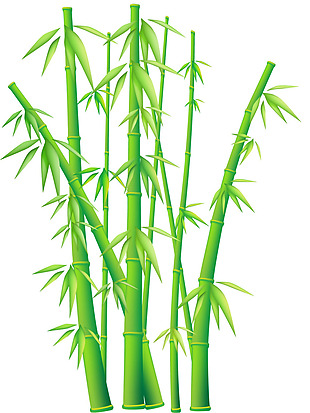 手绘新鲜绿色竹子免抠png透明素材