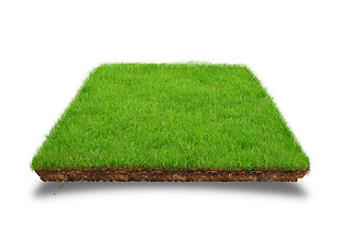 一块绿色草坪png元素素材