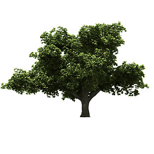 绿色的树png元素素材