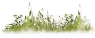 绿色草丛png元素素材