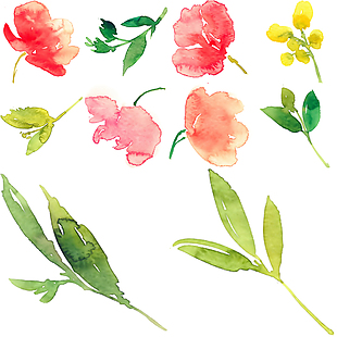 清新水彩绘花朵和叶子插画