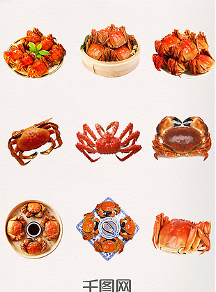 美食红色河蟹螃蟹大闸蟹素材