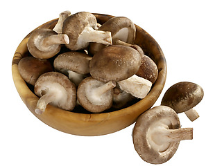 新鲜的蘑菇png元素素材