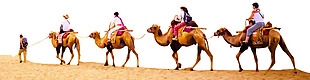 沙漠中的骆驼png元素素材