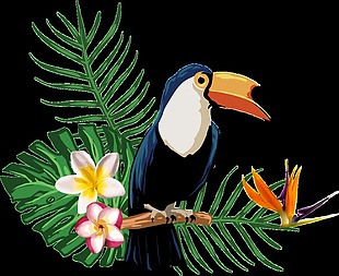 热带植物动物透明素材