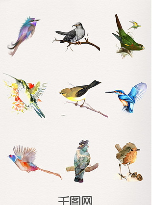 一组水彩动物飞鸟设计素材