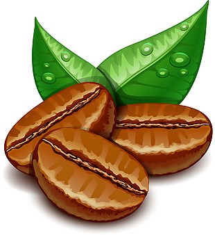 写实咖啡豆和叶子插画