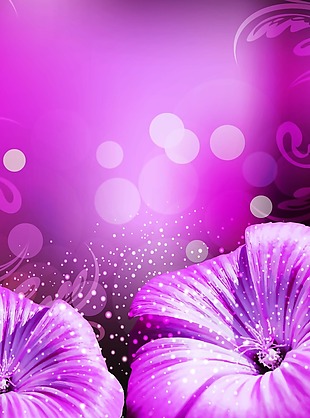 紫色花朵背景模板