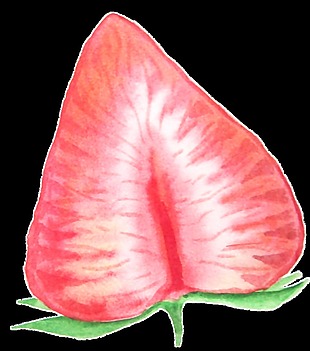 粉红可爱手绘草莓透明素材