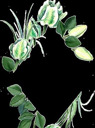 精美绿色手绘植物透明素材