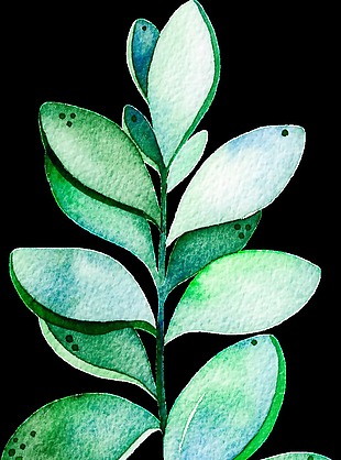 翠绿植物透明素材