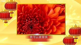节日春节喜庆的祝福相册pr模板