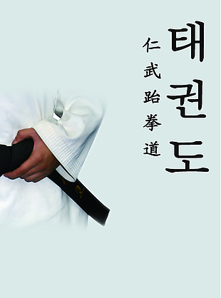 跆拳道海报设计