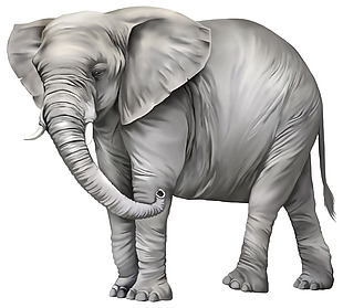 手绘高清大象图免抠png透明素材