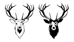 黑白手绘两只鹿头免抠png透明素材