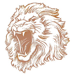 手绘棕色素描狮子免抠png透明素材