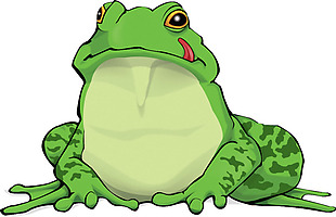 手绘绿色青蛙免抠png透明素材