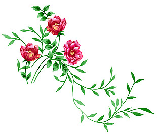 手绘绿叶红花免抠png透明素材