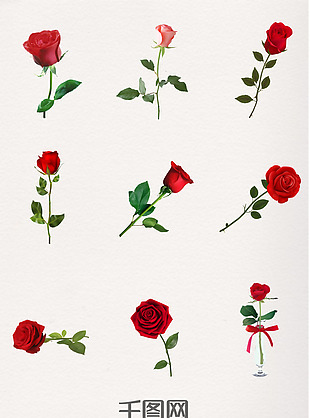 红色情人节海报插图玫瑰花