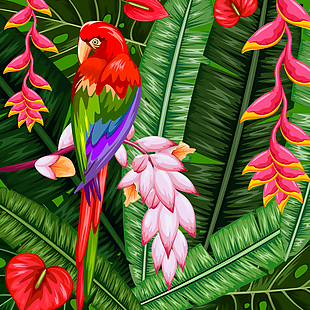 热带丛林里的美丽鹦鹉插画