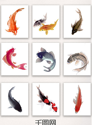 唯美多彩手绘水墨中国风鲤鱼