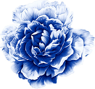 唯美手绘蓝色牡丹花朵图案