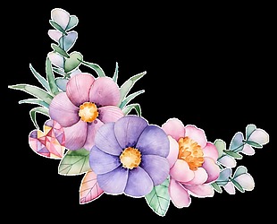 多彩花卉透明装饰图案