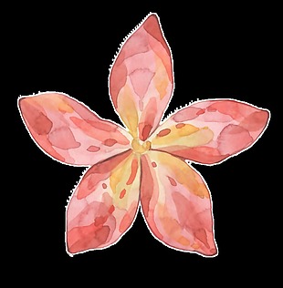 粉色五角花透明装饰图案