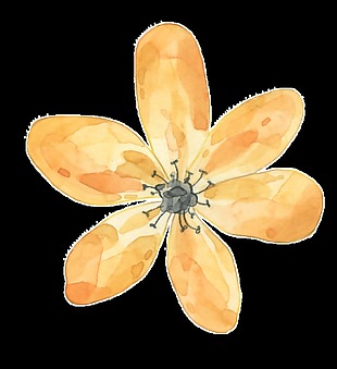 黄色水彩花朵透明装饰图案