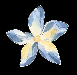 淡蓝色五角花透明装饰图案