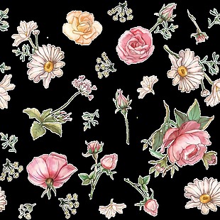手绘唯美玫瑰花透明装饰图案