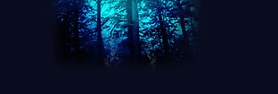 蓝色森林banner背景素材