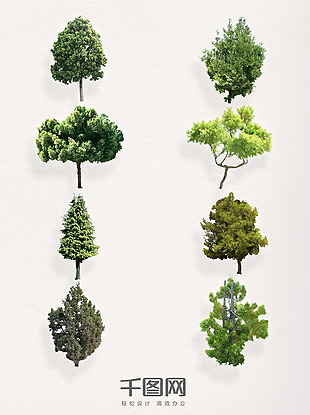 一组精美的松树装饰图