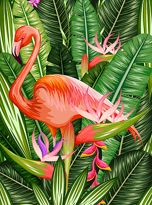 热带植物里的仙鹤插画