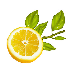 手绘绿叶柠檬元素