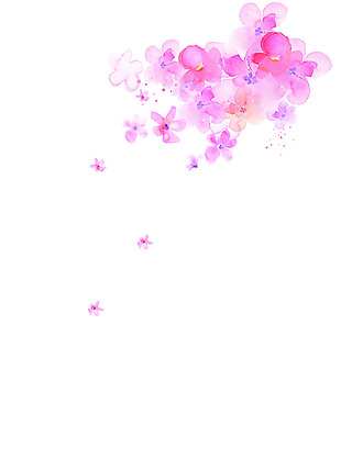 水墨粉色花朵飘散背景