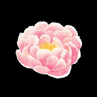 粉色唯美文艺手绘山茶花装饰透明素材