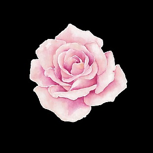粉色唯美文艺手绘花装饰png透明素材