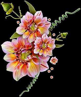 彩绘鲜艳花卉花束png透明素材