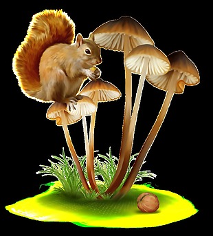 手绘蘑菇与松树png透明素材