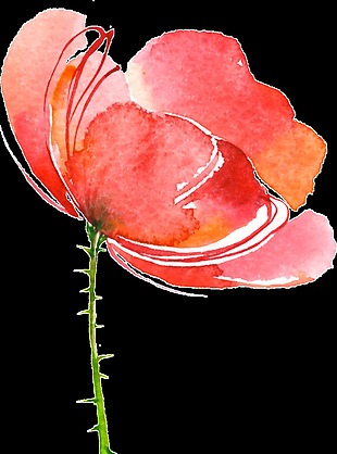 水墨涂鸦花卉透明素材