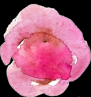 粉红苹果透明素材