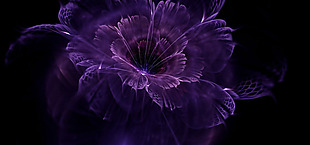 唯美紫色花朵banner背景素材