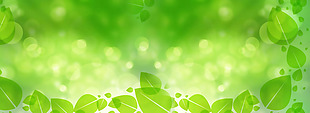 绿色树叶banner背景素材