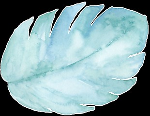 水彩手绘植物绿叶png透明素材