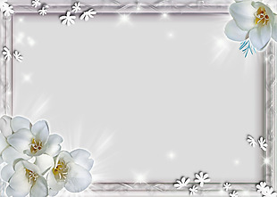 白色百合花卉边框免抠psd透明素材