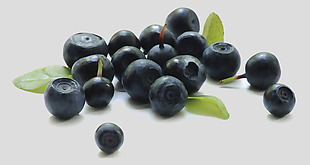 一堆蓝莓浆果免抠psd透明素材