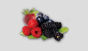 黑莓蓝莓覆盆子免抠psd透明素材